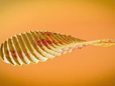 Photorealistic Lays Chips Render