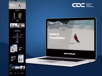 Shopify Website Design and Development With Custom Experience