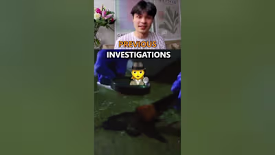 Talking Head Youtube Video