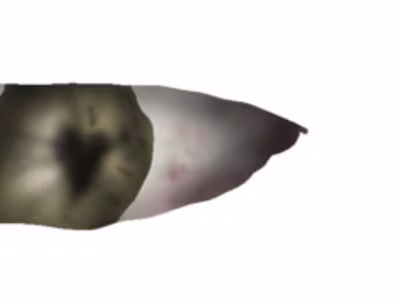 Manager at "BFF Music"