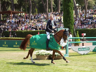 Crafted Articles and Social Media Posts for HorseTV