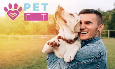 Pet Fit - Visual Identity 