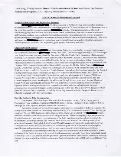 Writing Sample 3 - Grant Application