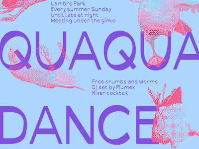 Anatide. A font inspired by duck morphology