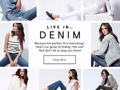 Klaviyo ecommerce email template