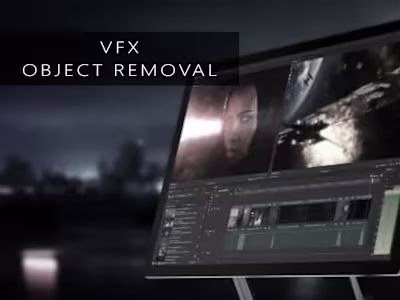 Visual Effects Removal Work