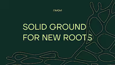 Nivavi Brand Identity Design