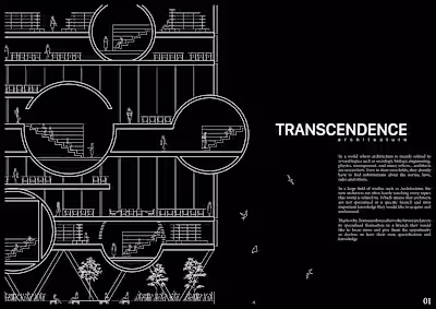 TRANSCENDENCE
