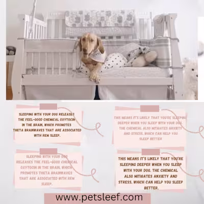 professional infographic desin