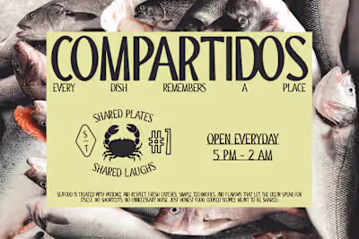 ST Camino Frontera Typeface Design