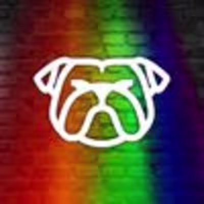 Brand and Logo Design for The Bulldog Brighton