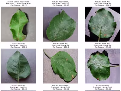 LeafGuard – AI-Powered Plant Disease Detection