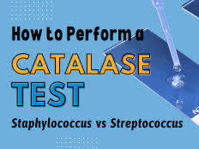 Purpose of catalase test