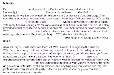 Sample Website Biography