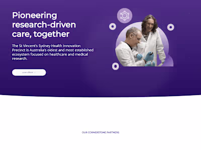 Development a Website for Renowned Hospital St. Vincent
