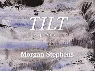 Developmental Editing for Poetry Collection