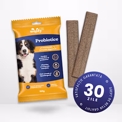 Develop Shopify Landing Page Using Custom Code