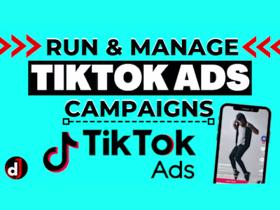 Run and Manage TikTok ads Campaigns for Dropshipping Store