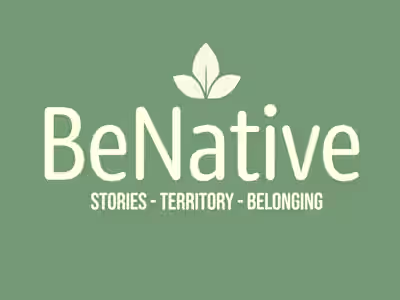 BeNative: Presentation Video