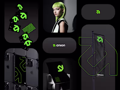 anion branding & visuals