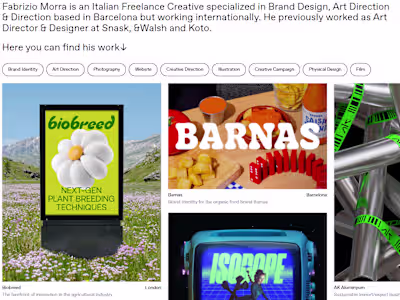 Fabrizio Morra Website