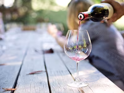 Website Copywriting | Alcohol and Your Wellness: Tips and FAQS