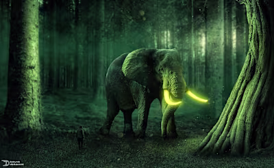 Magic Elephant