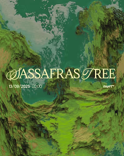 Some fav conceptual graphics I made last summer for @nurt_po...