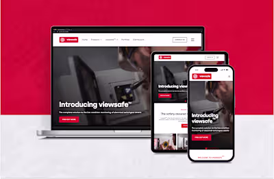 ViewSafe – Website Design & Development