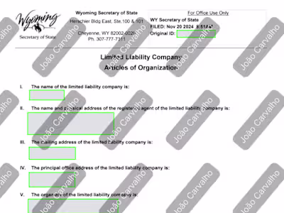 Formation of LLC with Custom Operating Agreement and BOI