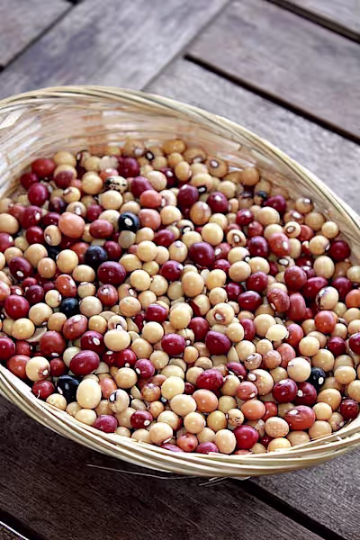 FOODVENTURE: ZIMBABWEAN DISH MUTAKURA