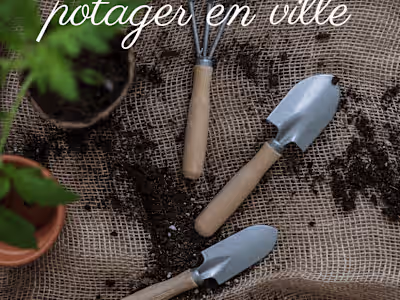 Guide rapide pour créer un potager en ville