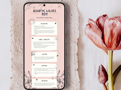 Infographics — ROSEWORD STUDIO