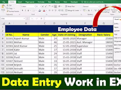 Data Entry With Excel