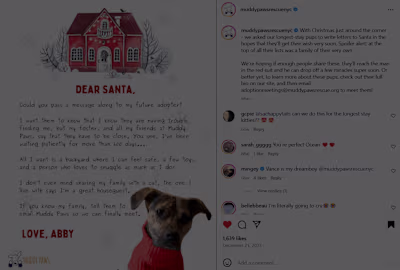 Content & Social - Muddy Paws Rescue