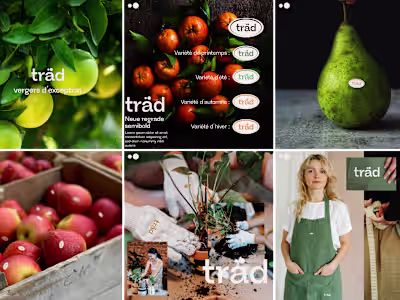 Visual identity for a fictional arborist.