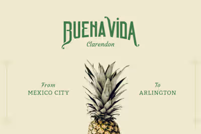 Buena Vida Website Design