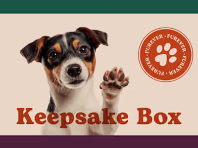 Furever - A Bonding Journey