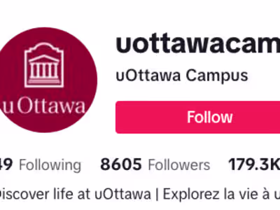 TikTok Account Management and Content Creation