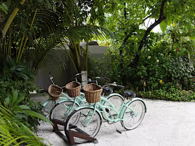 GitHub - angelah1994/How-does-a-bike-share-navigate-speedy-succ…