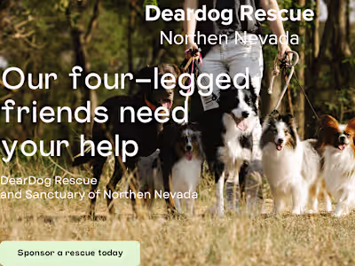 Non Profit Website