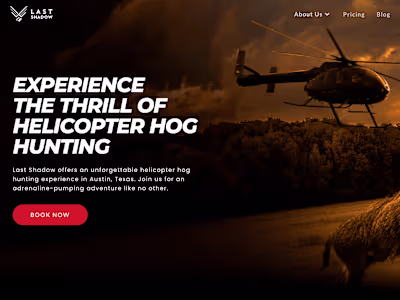 Website for Last Shadow