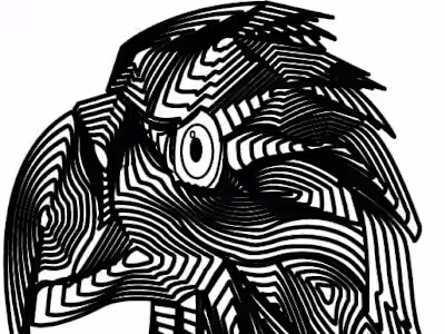 Logo and Illustrations
