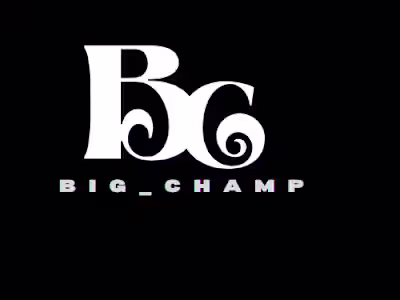 graphics designs/logos