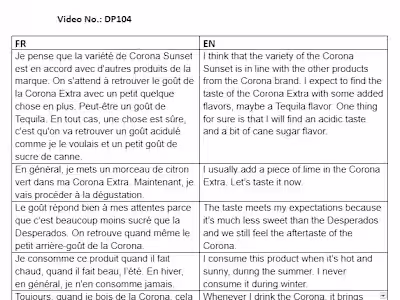 Video Translation French to English