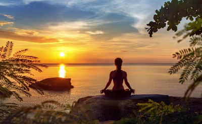 What is the Relationship between Stress and your Endocannabinoid