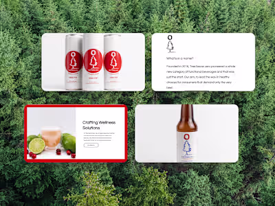 Website Design & Development