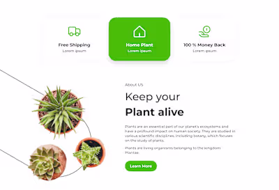 Home decor E-commerce website design I Natural products