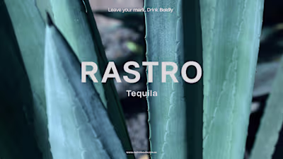 Brand Identity for Rastro