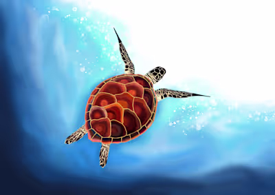 Sea Turtle in Waves